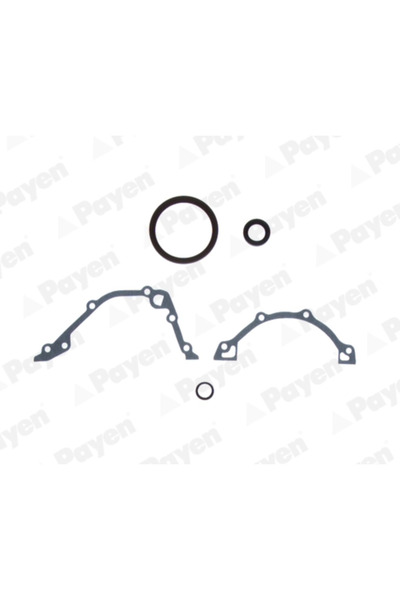PAYEN Set Garnituri Carter Fiat Albea/Bravo 2/Doblo Microbus Lancia Musa/Y