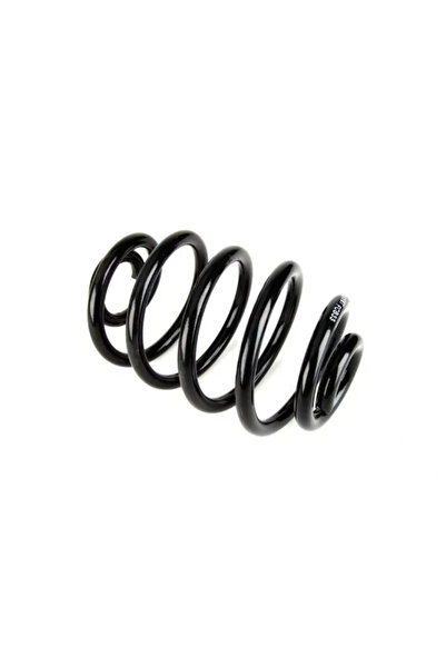 MAGNUM TECHNOLOGY Arc Spiral Puntea Spate Renault Clio 2/Clio Symbol 1/Symbol 2