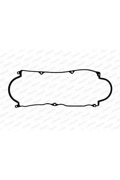 PAYEN Garnitura Capac Supape Asia Motors Rocsta Autoturism De Teren, Deschis ...