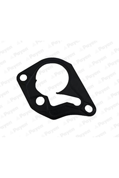 PAYEN Garnitura Pompa Vacuum Dacia Duster/Logan/Sandero Mahindra Verito