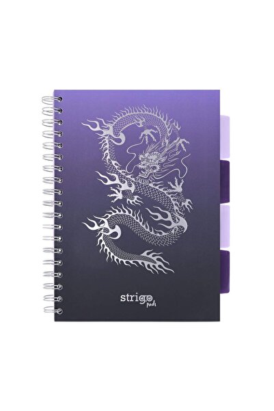 Strigo Caiet spirala si separatoare Project Book DRAGON B5, matematica, 200 p...