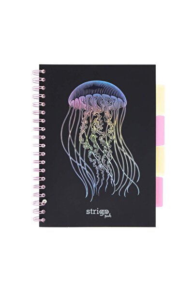 Strigo Spiral notebook and dividers Project Book MEDUZA B5, mathematics, 200 pg, cardboard covers PADS052