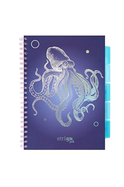 Strigo Caiet spirala si separatoare Project Book CARACATITA A4, matematica, 2...