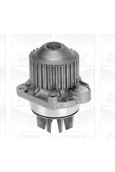 GRAF Pompa De Apa Racire Motor Citroen Xantia/Xm Renault Espace 3/Laguna 1/Sa...