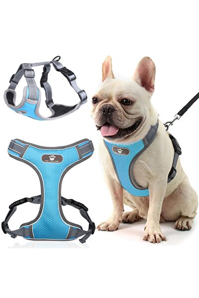 Other Ham de dresaj ASTRO albastru pentru câini de plimbare, mărimea S