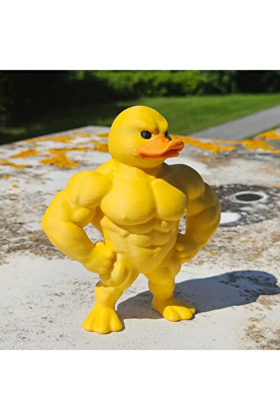 Choice تمثال بطة عضلية قطعة واحدة - ديكور سطح مكتب ثلاثي الأبعاد، رف كتب لطيف...