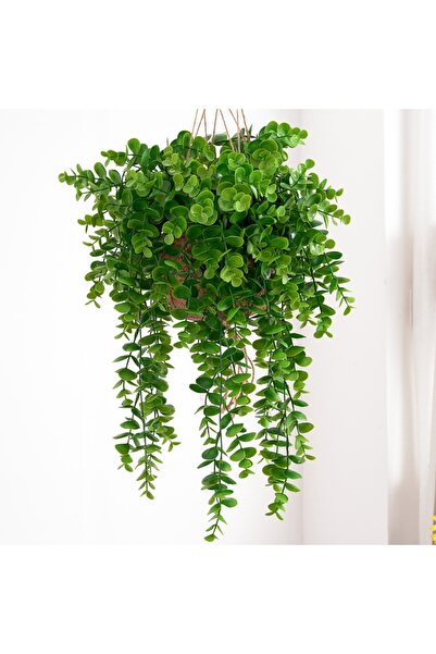 Choice قطعة واحدة من نباتات الأوكالبتوس الاصطناعية بطول 60 سم باللون الأخضر ل...