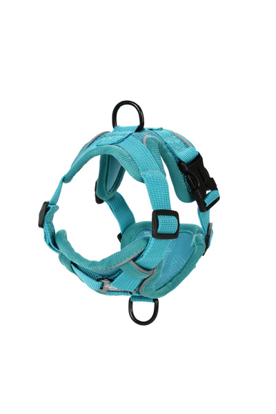 Choice L Turquoise Dog Harness Leash Set For Small Medium Dogs Cat Hiking Adj...