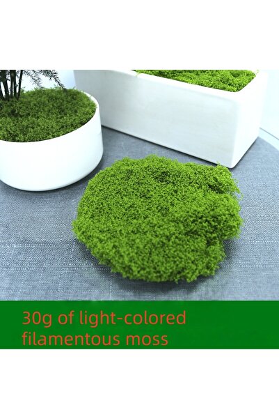 Choice طحلب أخضر فاتح 30 جرام 30/50/100 جرام نباتات خضراء صناعية عشب الطحلب د...