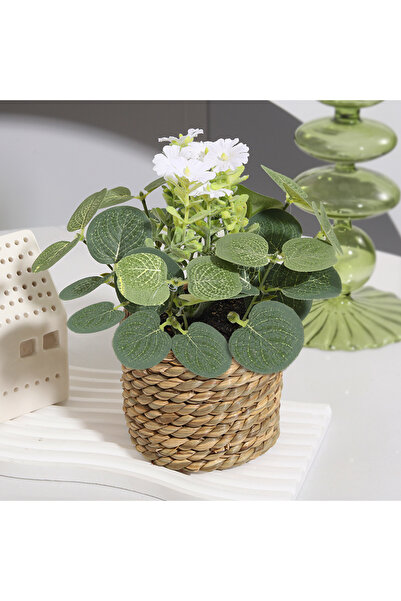 Choice زهرة شيا البيضاء، نباتات صناعية خضراء، زهور الكينا، نباتات صغيرة منسوج...