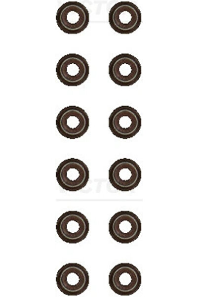 VICTOR REINZ Set garnituri ax supape LYNK & CO 01 2018-2025 12-12276-02