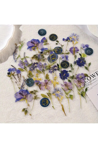 Choice مجموعة ملصقات زهور من بي جورنال، 40 قطعة، مصنوعة يدويًا من مادة PET لت...