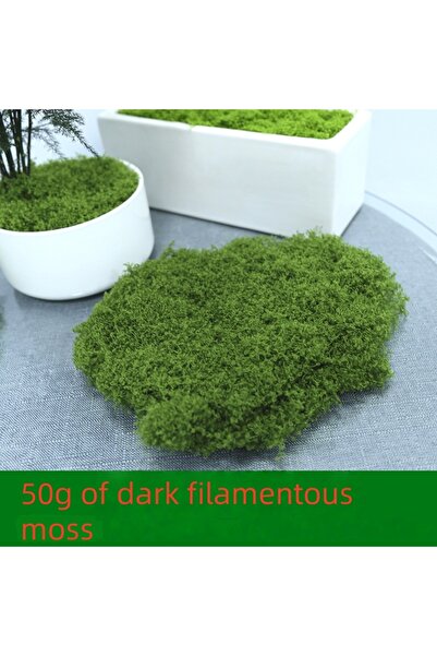 Choice طحلب أخضر داكن 50 جرام 30/50/100 جرام نباتات خضراء صناعية عشب طحلب ديك...