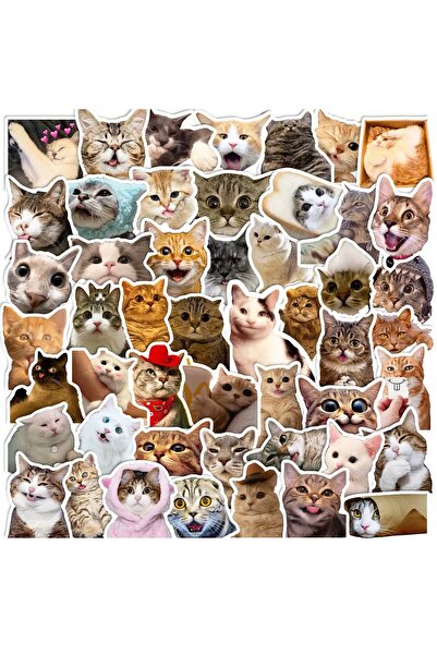 Choice 50 قطعة من ملصقات القطط المضحكة، رائعة، كاواي وملونة، مثالية لزجاجات ا...