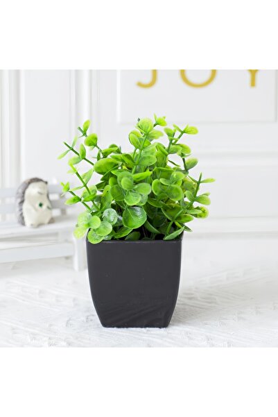 Choice 1 قطعة من شجرة الكينا، 1 قطعة من النباتات الخضراء الاصطناعية، تشجير ال...