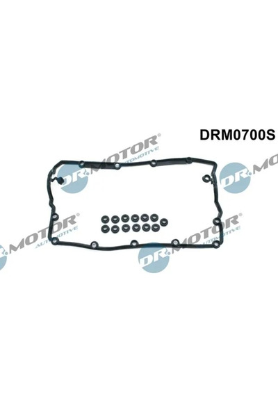 DR.MOTOR AUTOMOTIVE Set Garnituri Capac Supape Audi A4 B6/A6 C5 Ford Galaxy 1