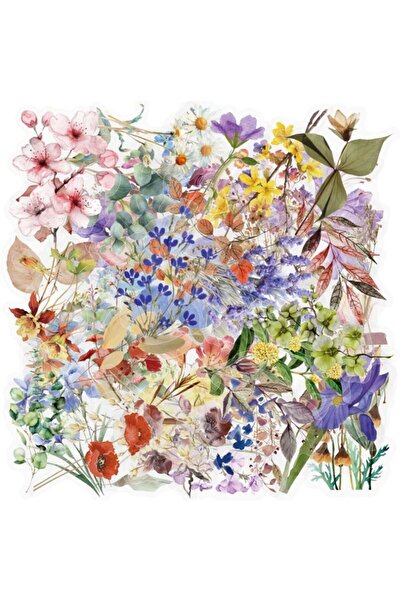 Choice 50 قطعة من ملصقات الزهور والنباتات الطبيعية لتزيين جراب الهاتف المحمول...