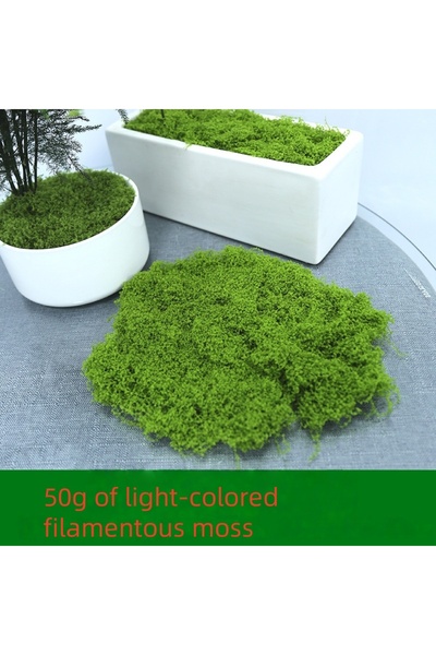 Choice طحلب أخضر فاتح 50 جرام 30/50/100 جرام نباتات خضراء صناعية عشب الطحلب د...