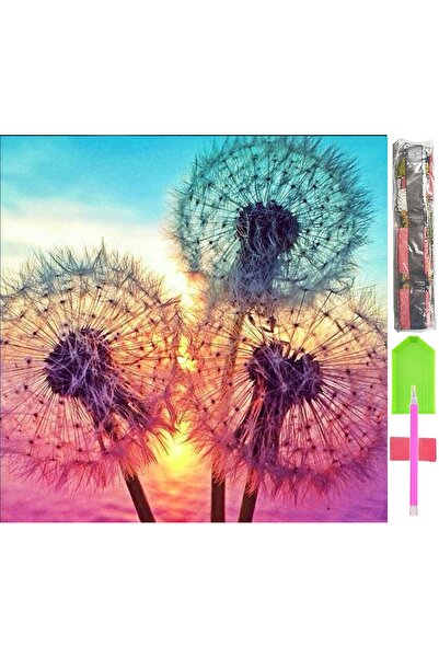 Other Set de imagini cu mozaic mare 5D cu broderie cu diamante D07