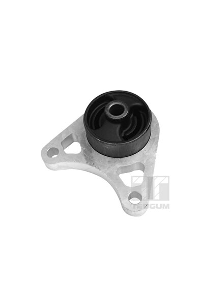 TEDGUM Rulment Diferential Puntea Spate Land Rover Freelander 1