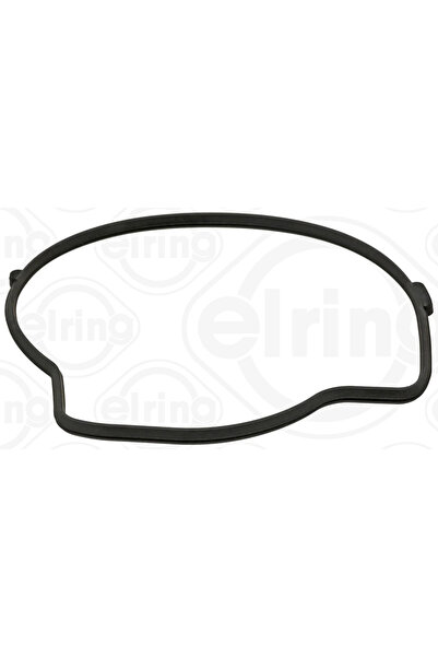 ELRING Garnitura Pompa De Apa Chrysler Aspen Dodge Dakota/Durango/Nitro