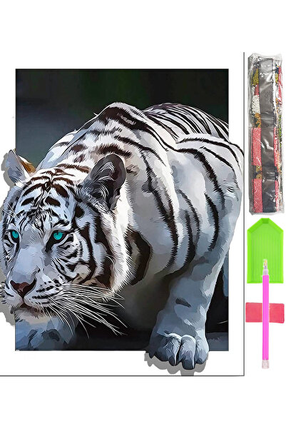 Other Set de imagini cu mozaic mare 5D cu broderie cu diamante D14