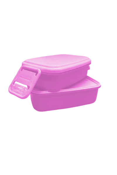 Ark Lunch Box 2 Tiers