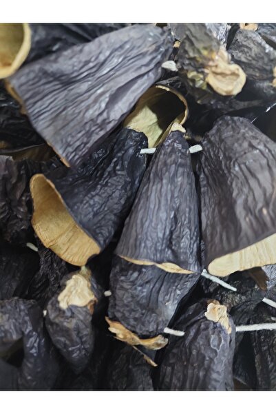 Bio Boden Sap Patlıcan Kurusu Yeni Sezon 44-45 Adet