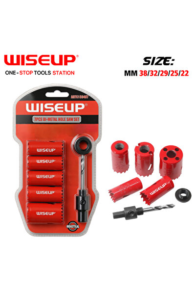 WISEUP Hollow gypsum set, 7 pieces.