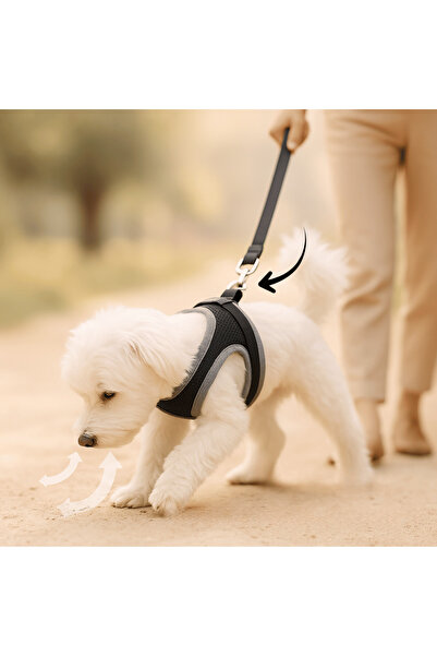 BEYLİNİ Dog Chest Harness Lead Set Lead Strap Dog Collar Bundle Comfortable Durable Breathable Mesh
