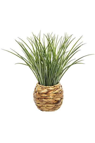 Atmosphera Créateur D'intérieur Plantă decorativă Atmosphera, iarbă în ghivec...