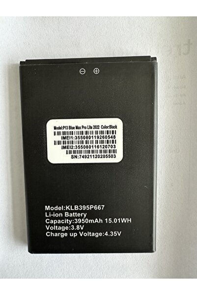 instatech Reeder P13 Blue Max Pro Lite 2022 KLB395P667 Uyumlu Batarya Pil ( Orta Diş) 3950 Mah