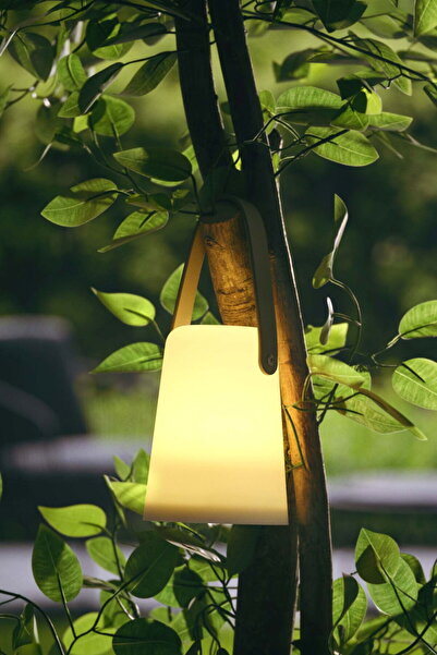 Paşabahçe Coast Led Fener S 14 cm