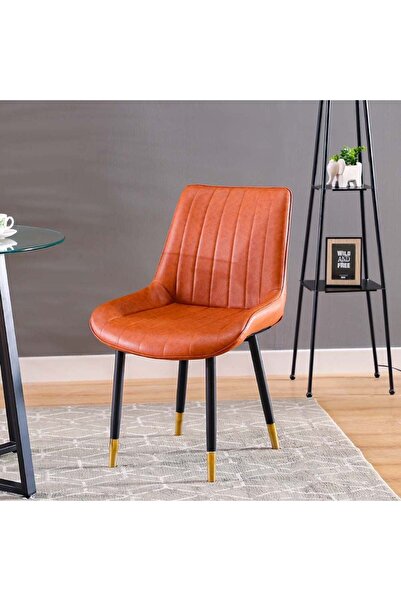 Danube Home Tommaso Dining Chair - Tan Wood & Metal, Stylish Dining Room Furniture, 52x46x84cm - 1 Year warranty