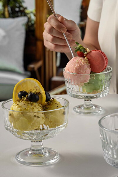 Paşabahçe Echo Dondurma Kabı 240 cc