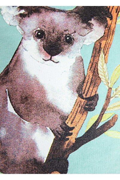 Ozmoz By Mukadder Özden Organic Cotton Koala Printed Green Winter Boys' Sweatshirt