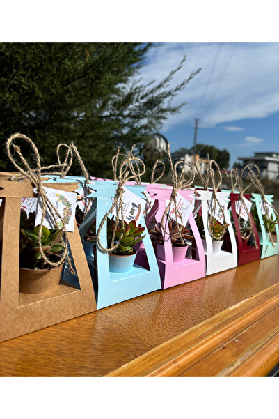 İvgen Çiçekçilik Öğretmenler Günü Özel 15 Adet Kare Çanta(Karışık Renk) Süsle...