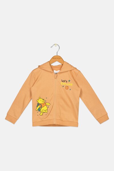 Sinsay Fox and Bunny By Toddlers Boy Graphic Print Long Sleeves Hoodie, Multicolor