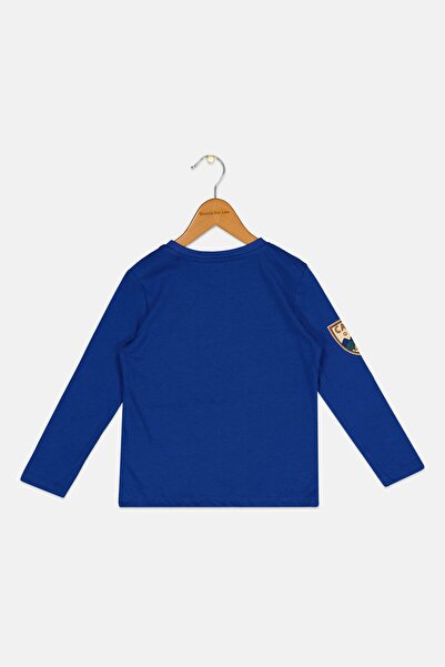 Sinsay Toddlers Boy Crew Neck Long Sleeve Graphic Print T-Shirt, Blue