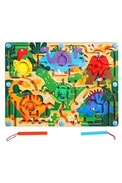 DAMUR Joc Montessori de sortare a culorilor, Creion magnetic, Tip labirint il...
