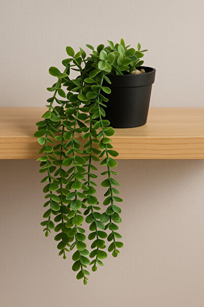 DailyHome Salkım Yapay Yeşil Bitki – Siyah Saksıda Dekoratif Mini Sukulent Görünümlü