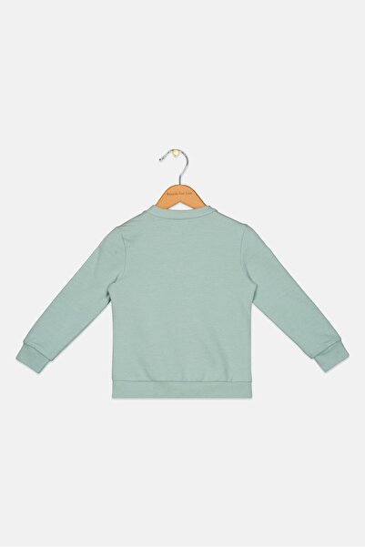 Sinsay Toddlers Boy Embellished Long Sleeves Sweatshirts, Pista Green