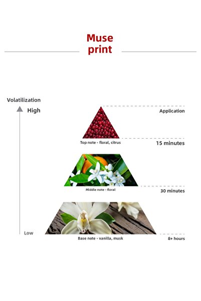 Imprime Muse Edp 15 ml Travel Size Women's Perfume |   Floral, Fruity |   Currant, Lavender, Musk, Amber