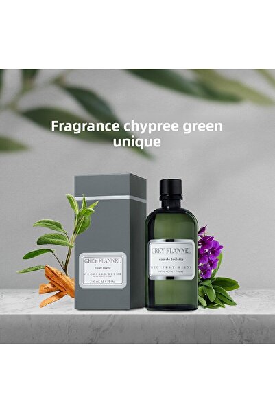 Geoffrey Beene Grey Flannel Edt 120 ml Men's Perfume 719346021784