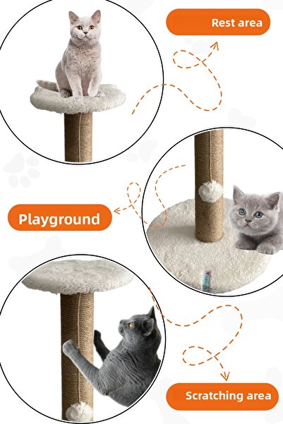 Nursoft لعبة خدش القطط من ستيبلاي - مفصلة بشكل تعسفي