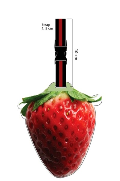 Boldy Ετικέτα βαλίτσας Ετικέτα αποσκευών Τσάντα Ετικέτα αποσκευών με λουράκι ...