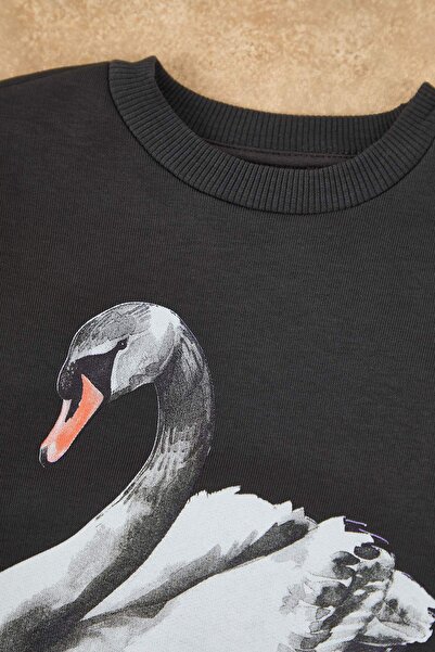 TRENDYOLKIDS Anthracite Printed Thick/Fleece Lined Girls' Knitted Bottom - Top Set Tkdaw26Au00054