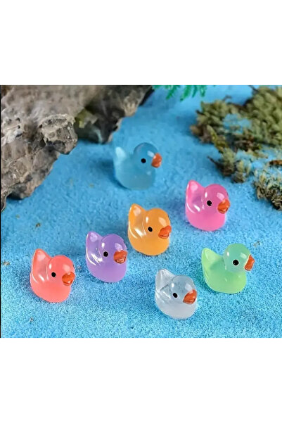 Genel Markalar Karanlıkta ParlayanRengarenk Mini Ördek Seti Araba Torpido Teraryum Akvaryum Süsü 5 Adet