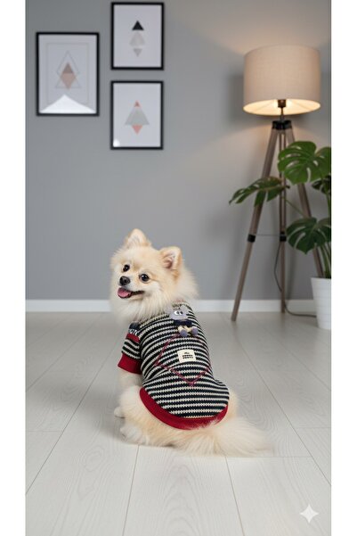 PUPPY PARTY KÖPEK VE KEDİ KIYAFETLERİ