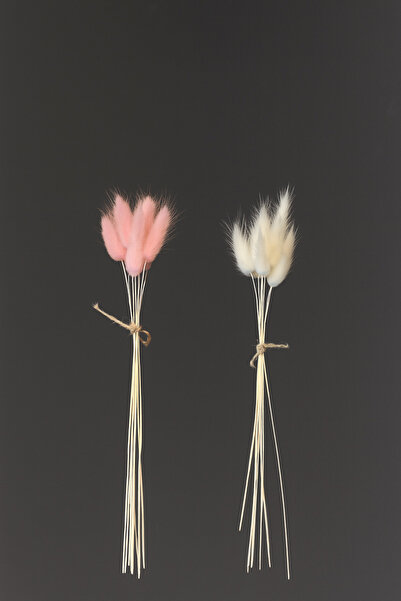 ÇINARASYADAHOME Buchet de iarbă naturală uscată de coadă de iepure, roz-alb, 2 buchete, cu 10 ramuri, dublă culoare